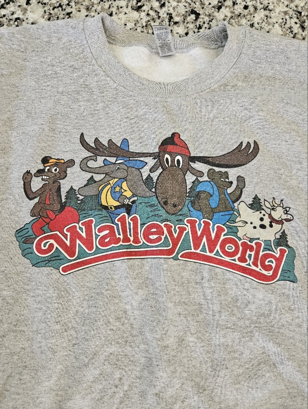 Retro Walley World Graphic Sweatshirt - Gray with Characters